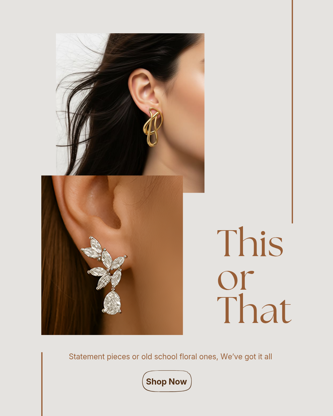 Earrings